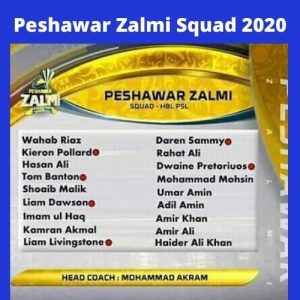 peshawar zalmi kit 2020 price