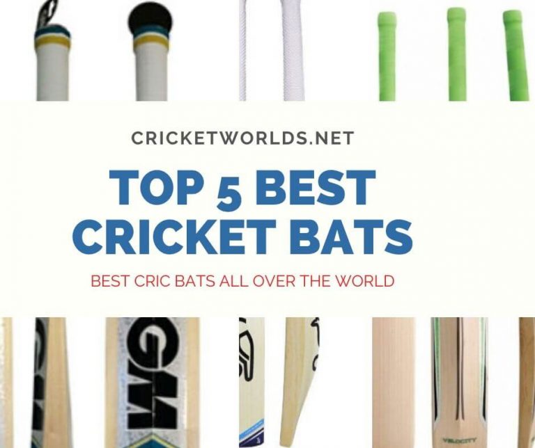 5 Best Cricket Bats 2023  [Updated]
