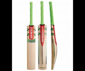 top 5 best cricket bats