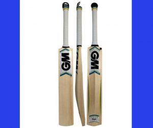 TOP 5 BEST CRICKET BATS 2020