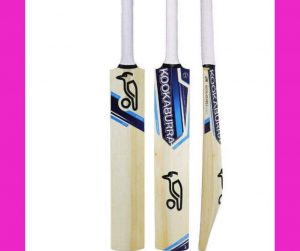 TOP 5 BEST CRICKET BATS 2020