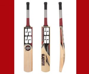 TOP 10 BEST CRICKET BATS