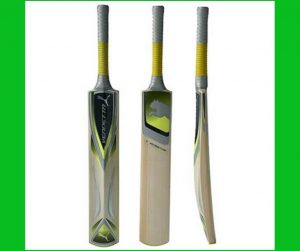 TOP CRICKET BAT IN THE WORLD