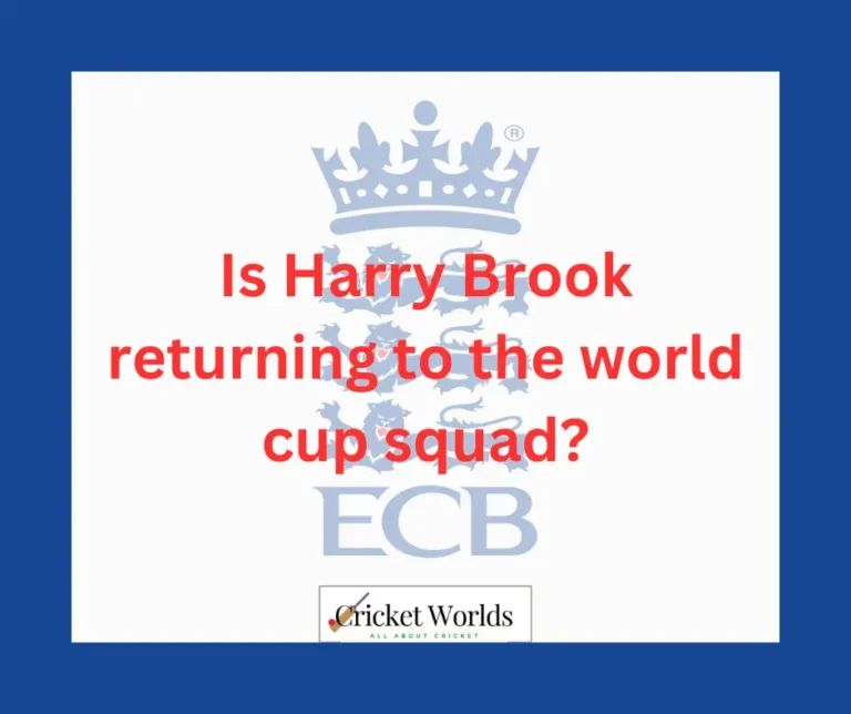 Is Harry Brook returning to the World Cup squad?