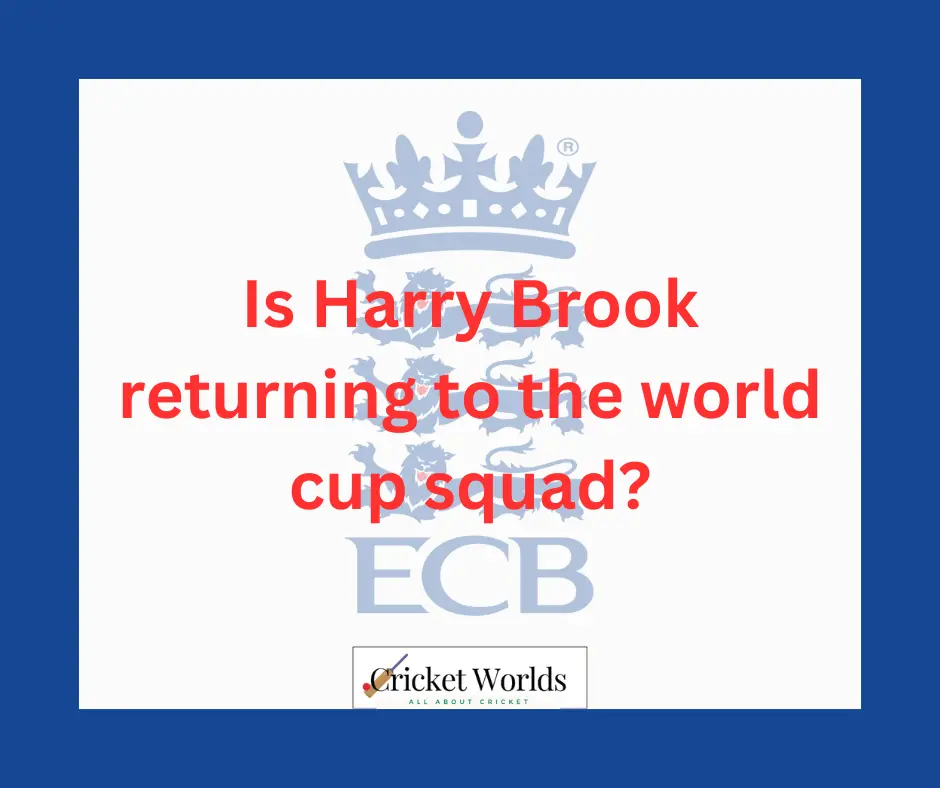 Is Harry Brook returning to the world cup squad?