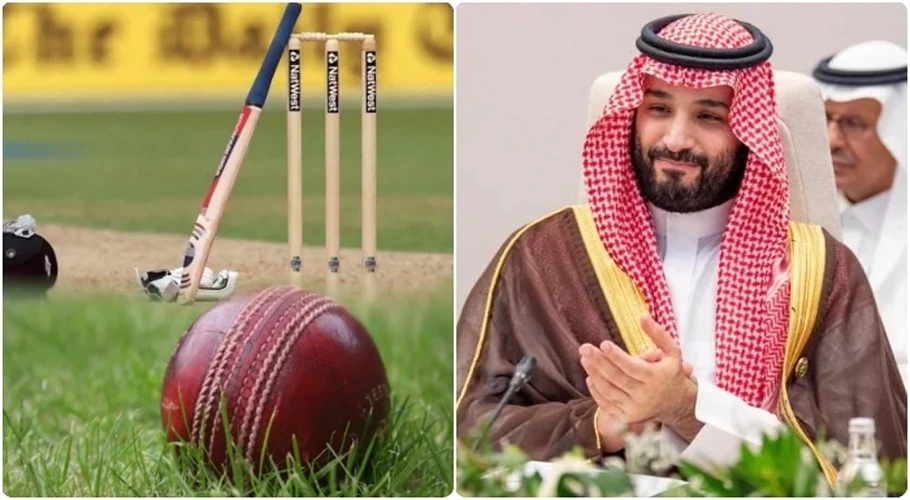 KSA going to buy Stake in IPL 2024
